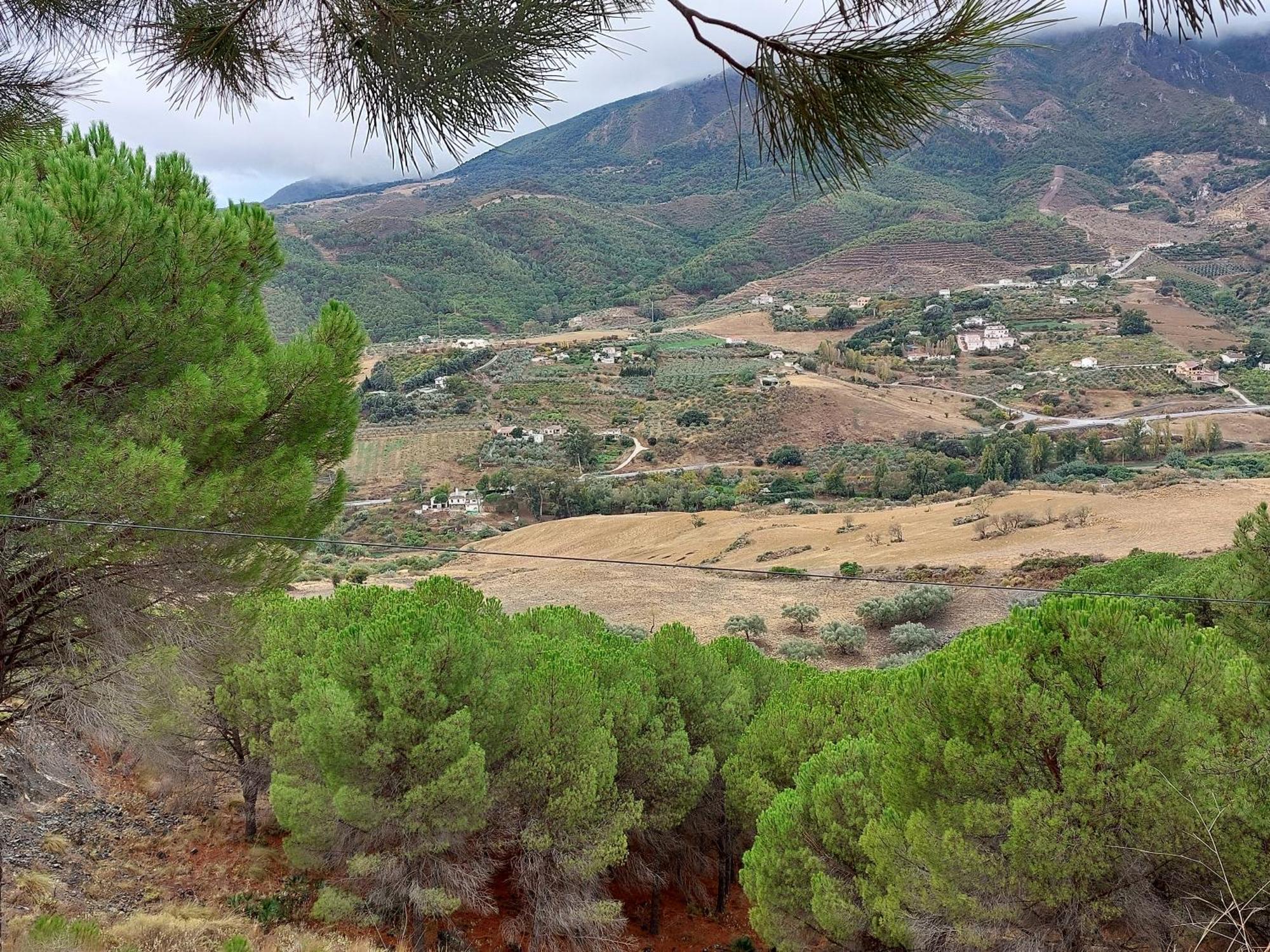El Bufon De La Corte Карратрака Экстерьер фото